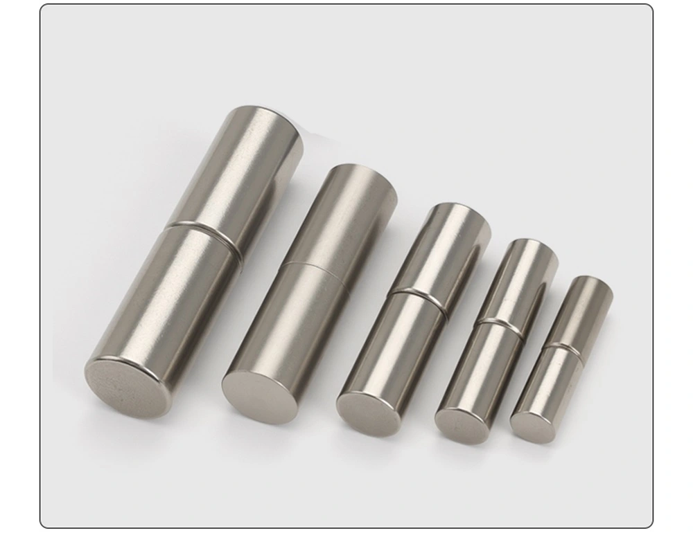 In Line Hinge Stainless Steel Lift Off